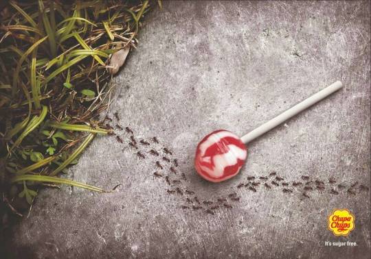 خالية من السكر ، والنمل أكبر دليل!